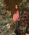 profile of Russian mail order brides Irina