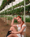 profile of Russian mail order brides Alena