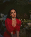 profile of Russian mail order brides Irena