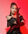 profile of Russian mail order brides Elena