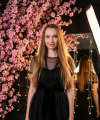 profile of Russian mail order brides Elena
