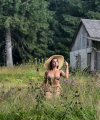 profile of Russian mail order brides Elena