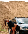 profile of Russian mail order brides Alena